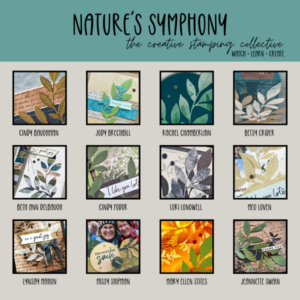Nature's Symphony Video Tutorial Bundle
