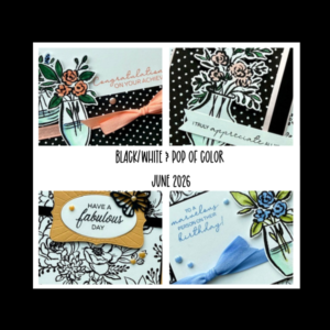 Black/White & Pop of Color Class Tutorial