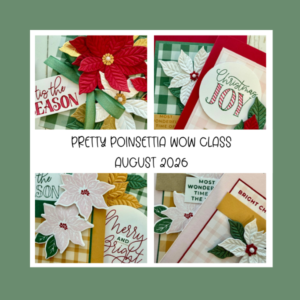 Pretty Poinsettia WOW Christmas Card